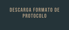 FORMATO PROTOCOLO